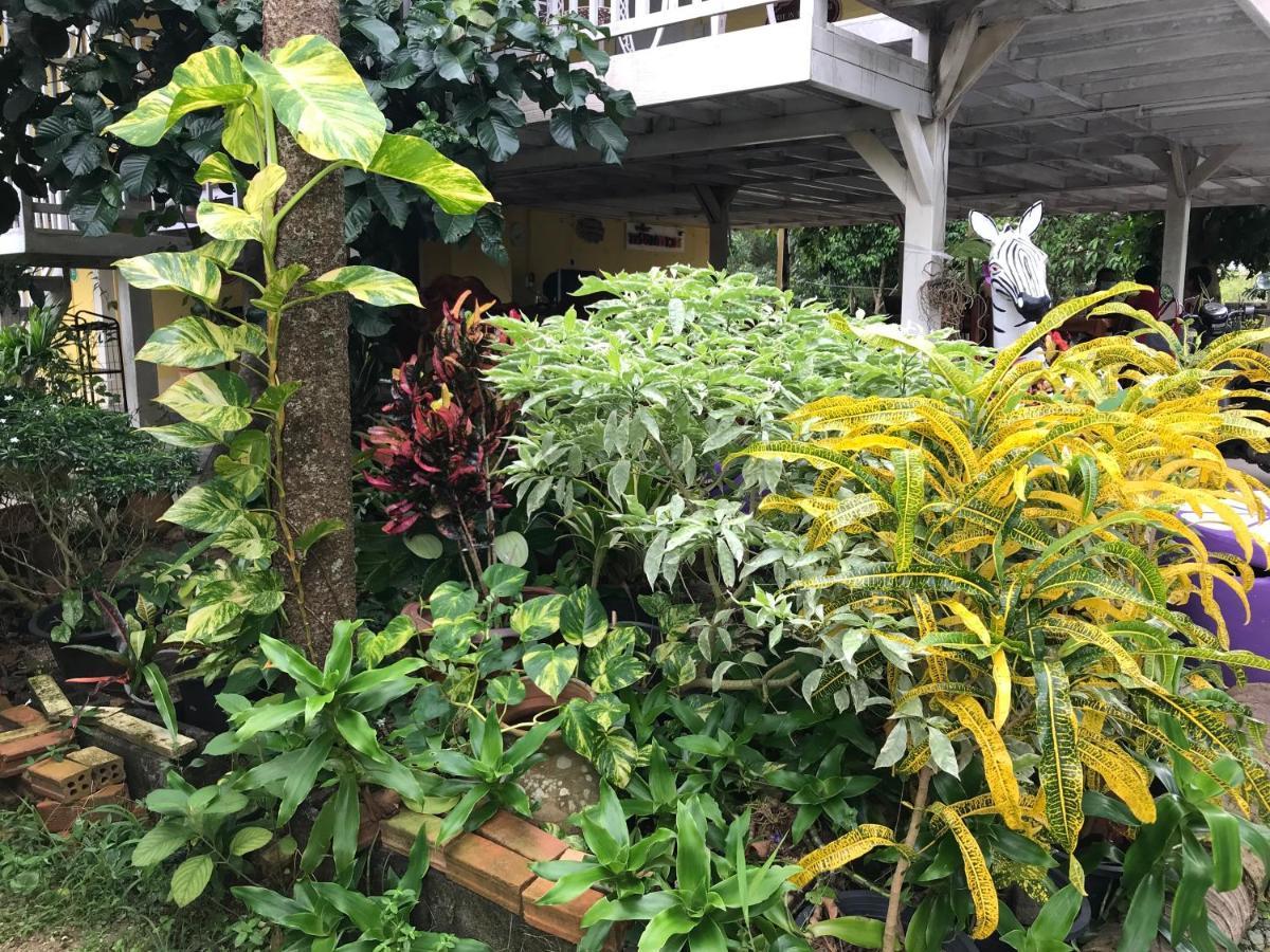 Tree In Town ทรีอินทาวน์ Phatthalung Exterior foto